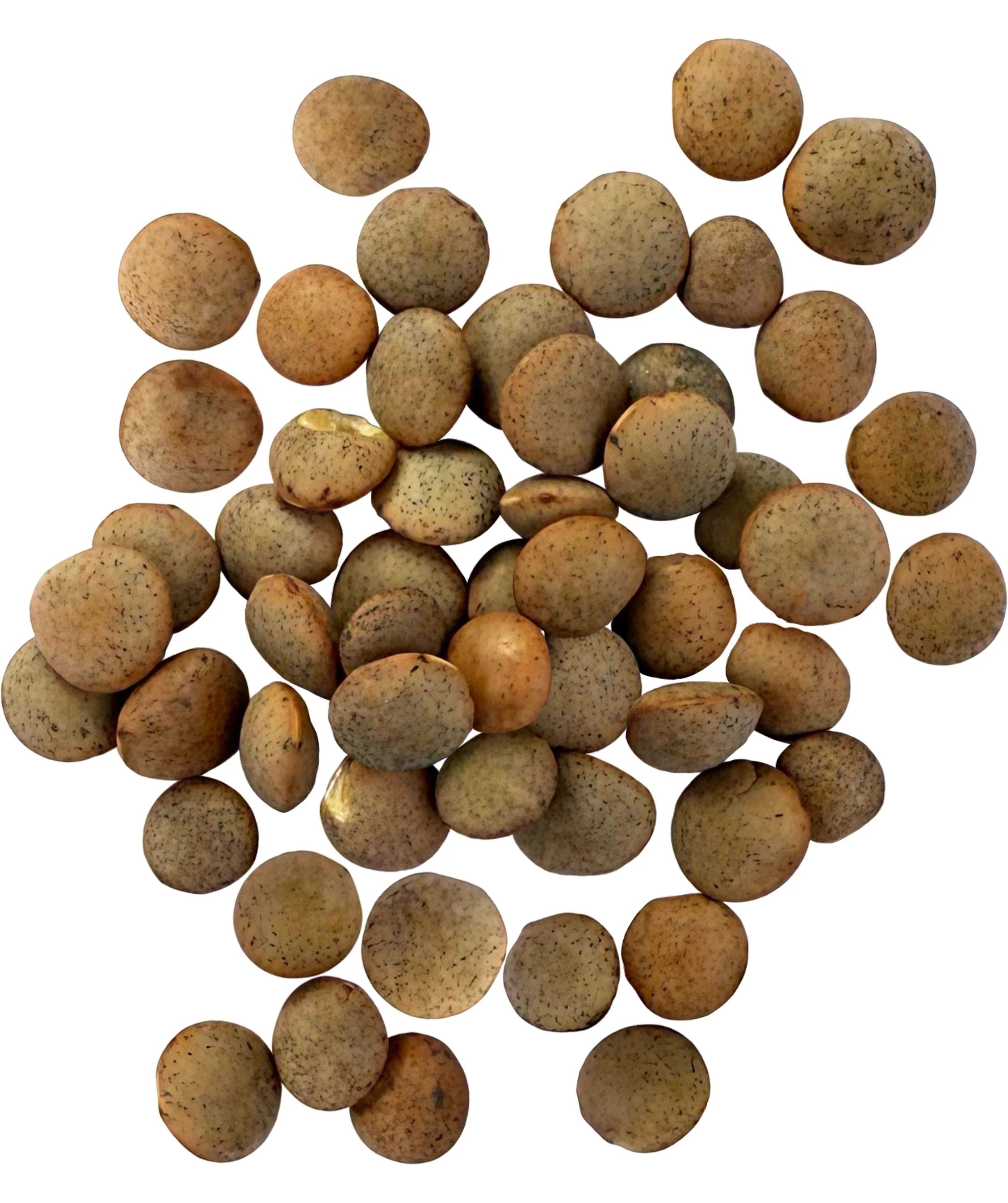Brown Lentils | 25 LB | Certified Glyphosate Residue Free - Image 2