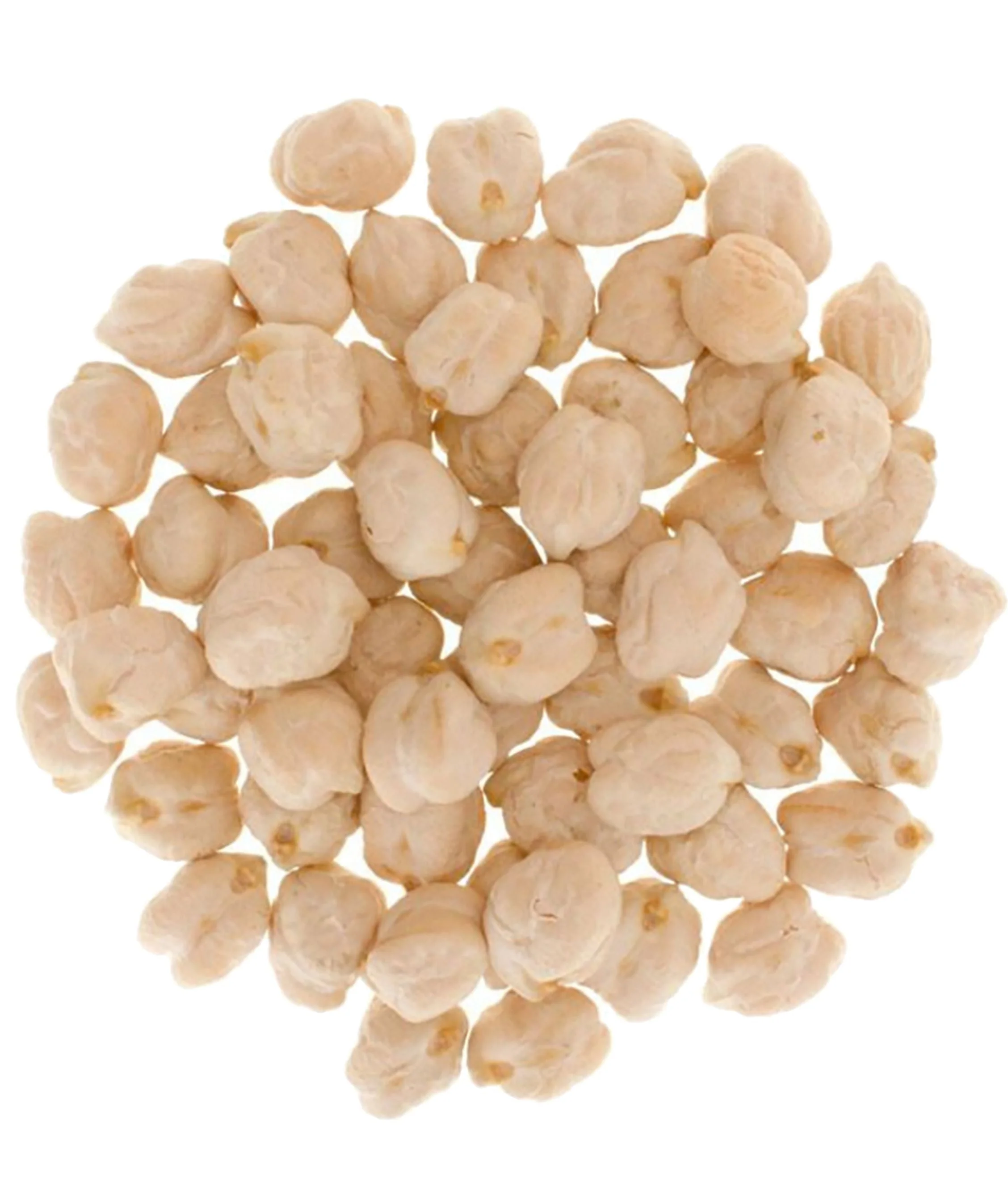 Chickpeas | 25 LB Bucket | Certified Glyphosate Residue Free - Image 2