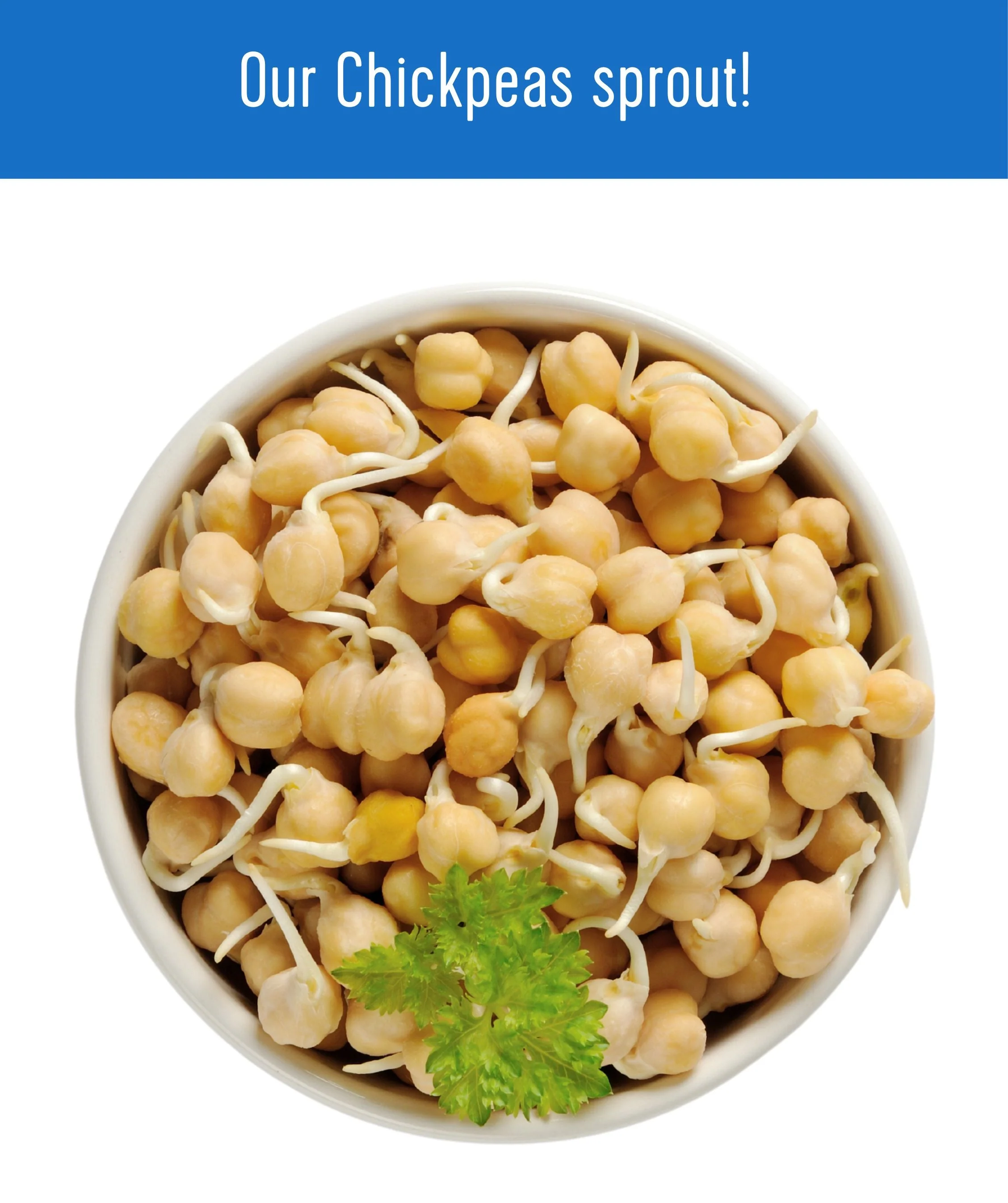 Chickpeas | 25 LB Bucket | Certified Glyphosate Residue Free - Image 7