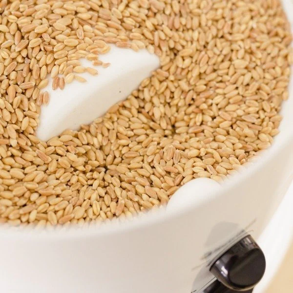 Classic Grain Mill - Image 3