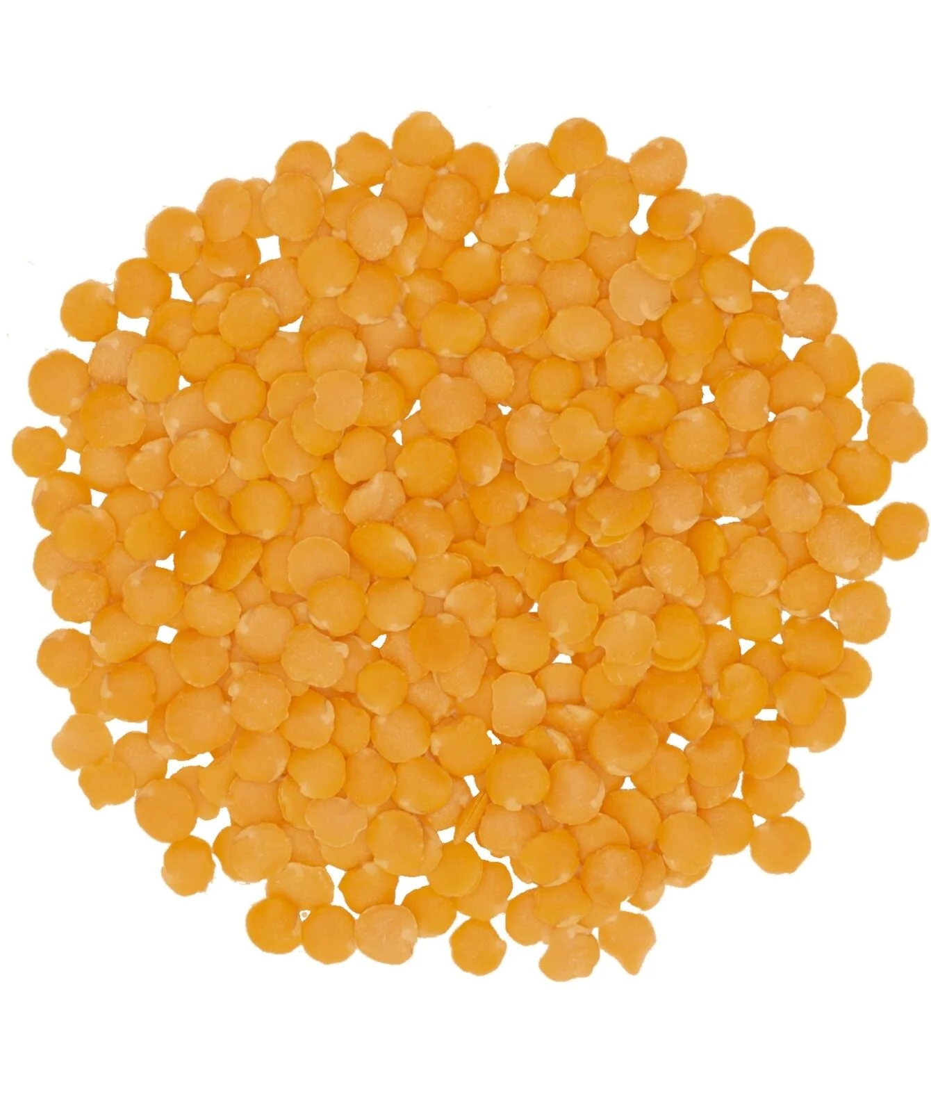 Red Lentils | 25 LB Bucket | Certified Glyphosate Residue Free - Image 2