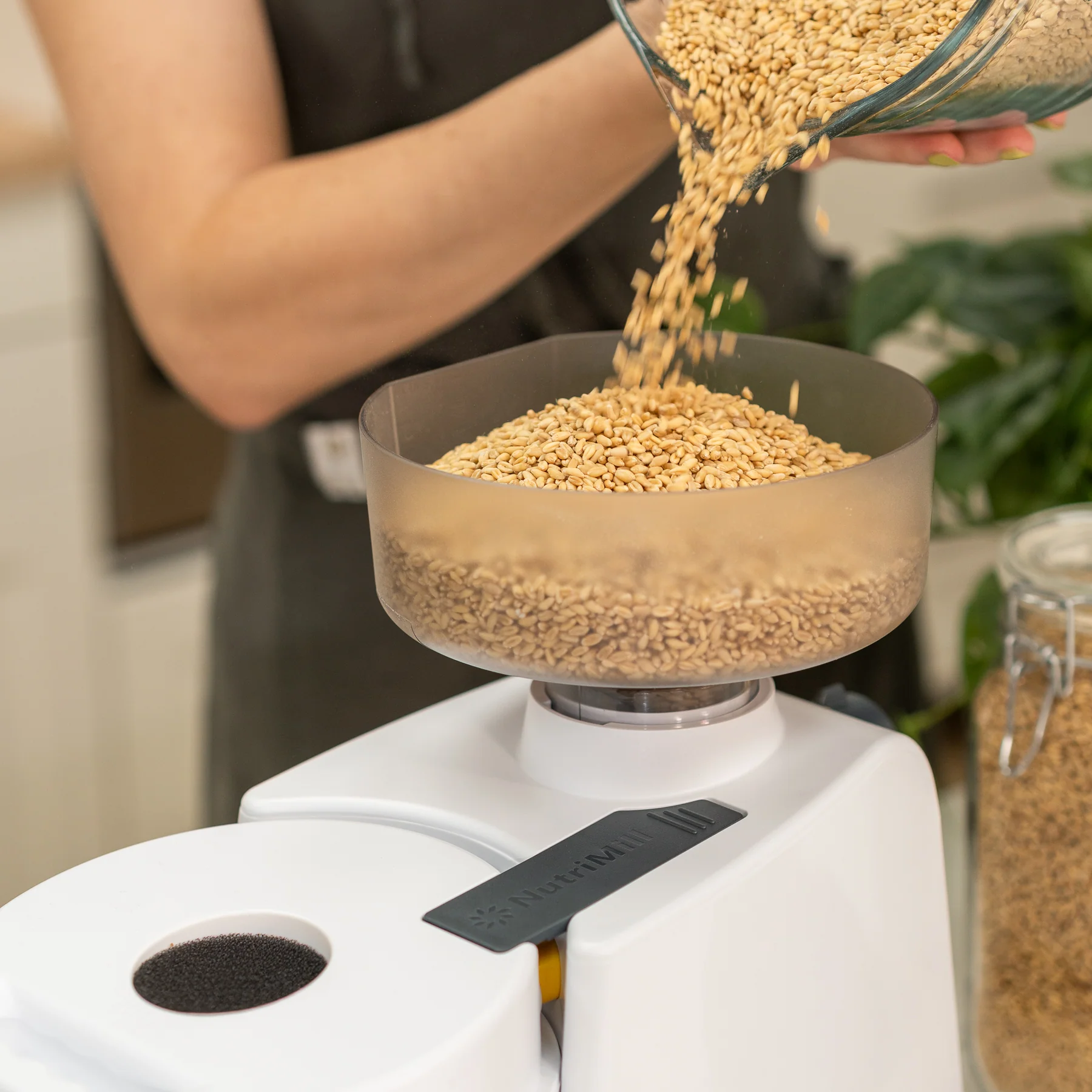 Refurbished Impact Grain Mill - Open Box - Image 5